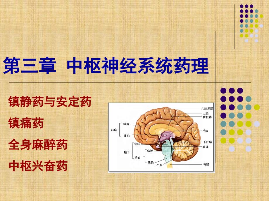 药理学第三章中枢神经系统药理.ppt_第1页