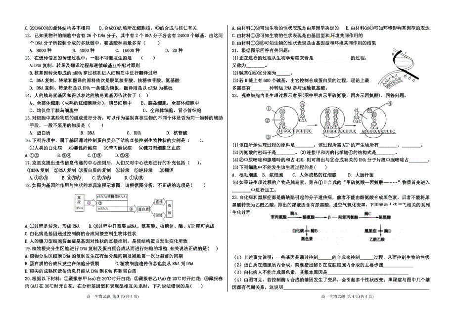 第四单元检测必修二.doc_第2页