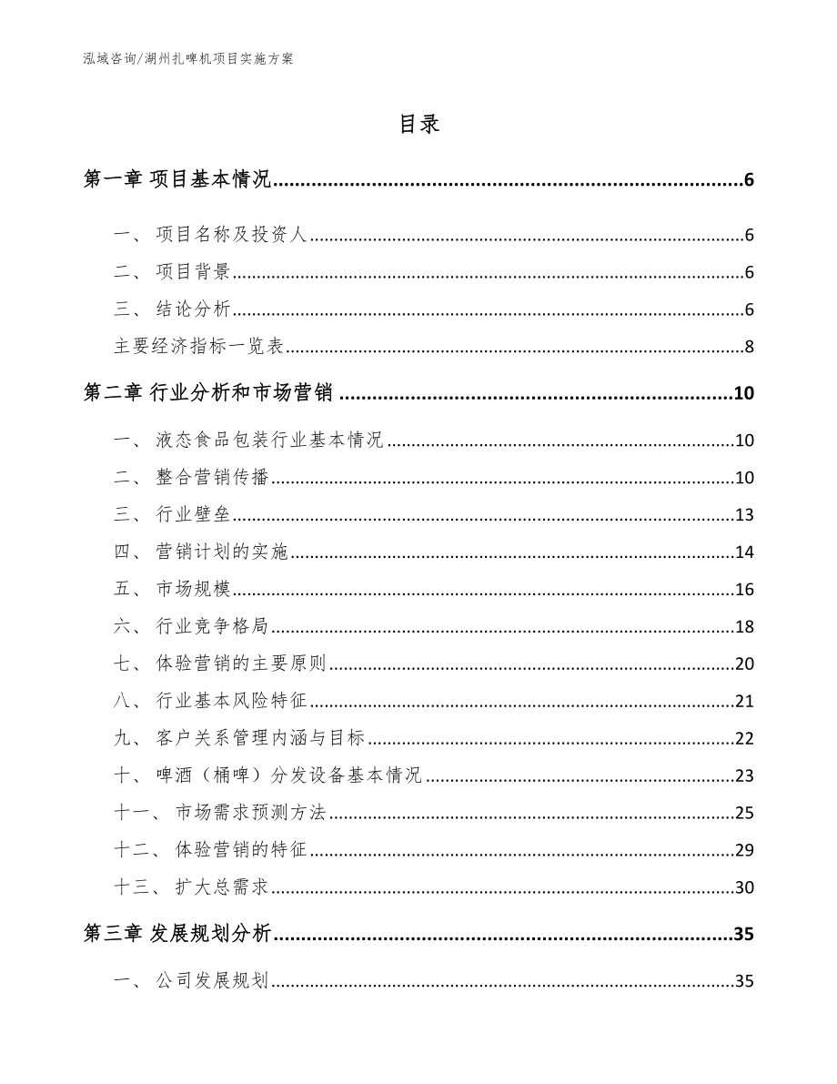 湖州扎啤机项目实施方案（范文）_第1页