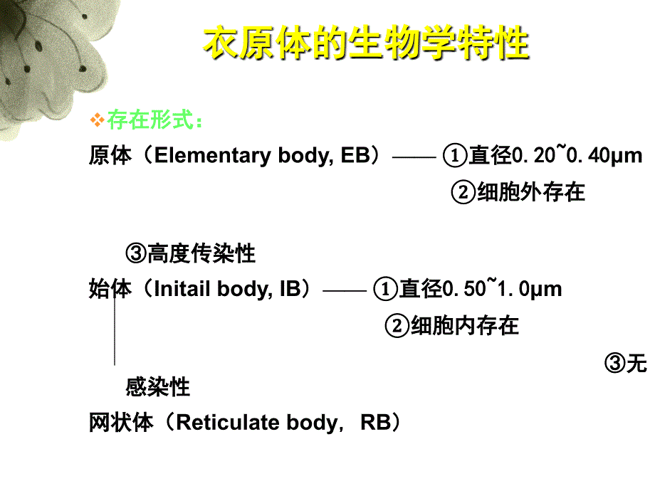 衣原体病专题ppt课件_第4页