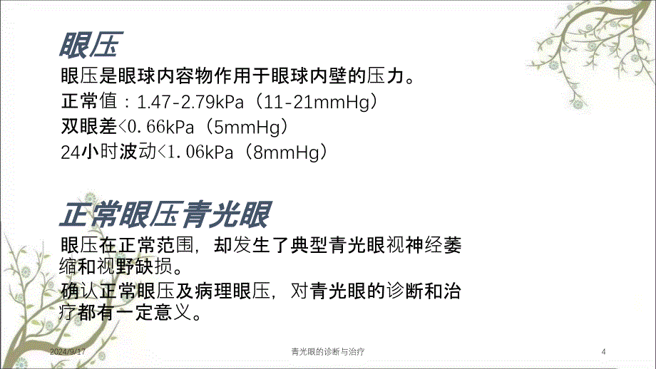 青光眼的诊断与治疗_第4页