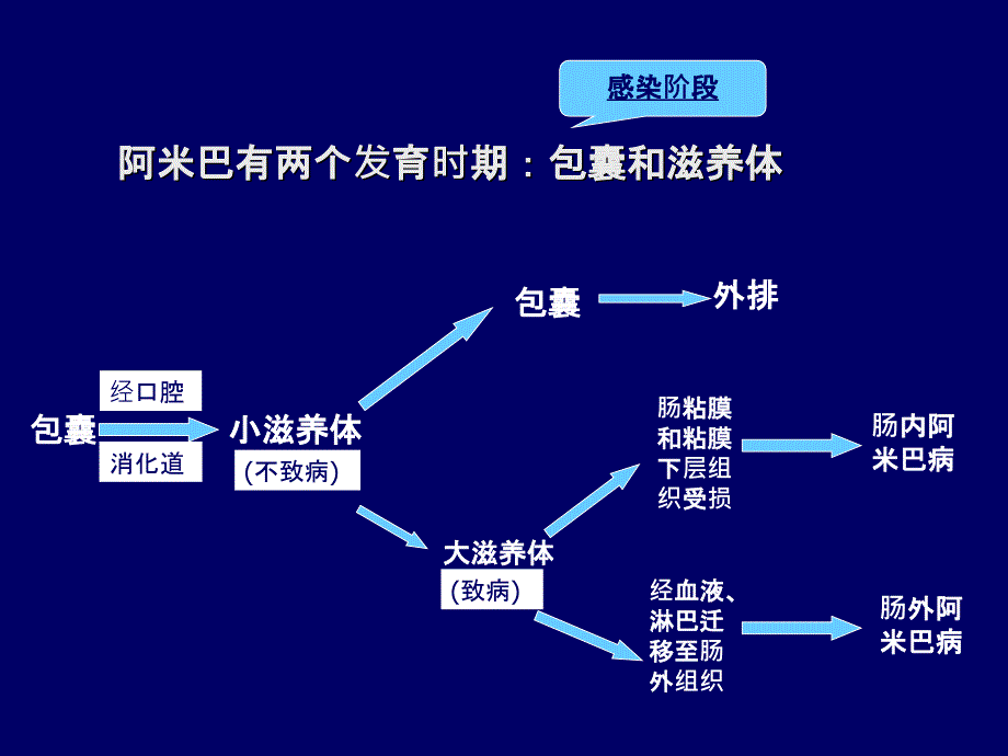 抗寄生虫药1课稿_第4页