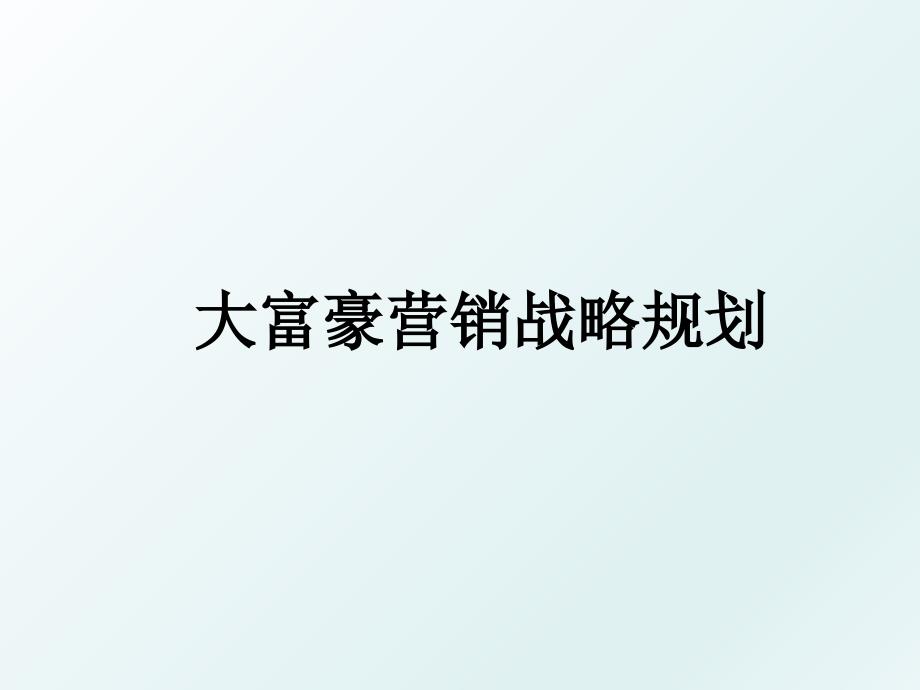 大富豪营销战略规划_第1页