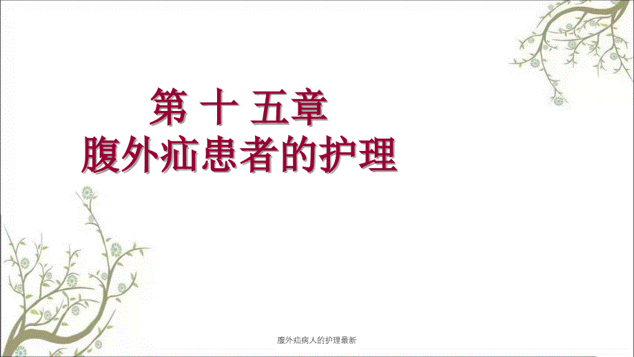 腹外疝病人的护理最新课件_第1页