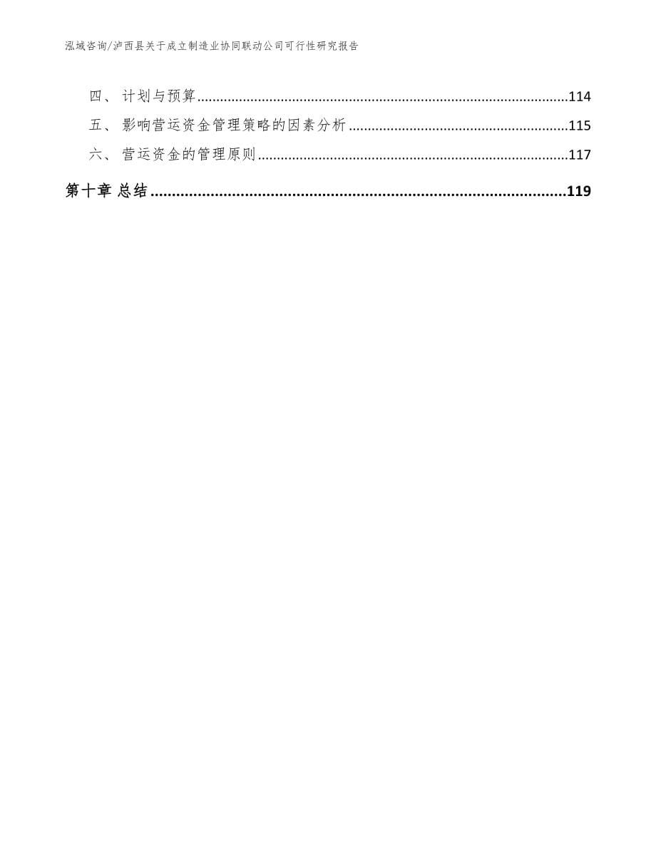 泸西县关于成立制造业协同联动公司可行性研究报告（参考范文）_第5页