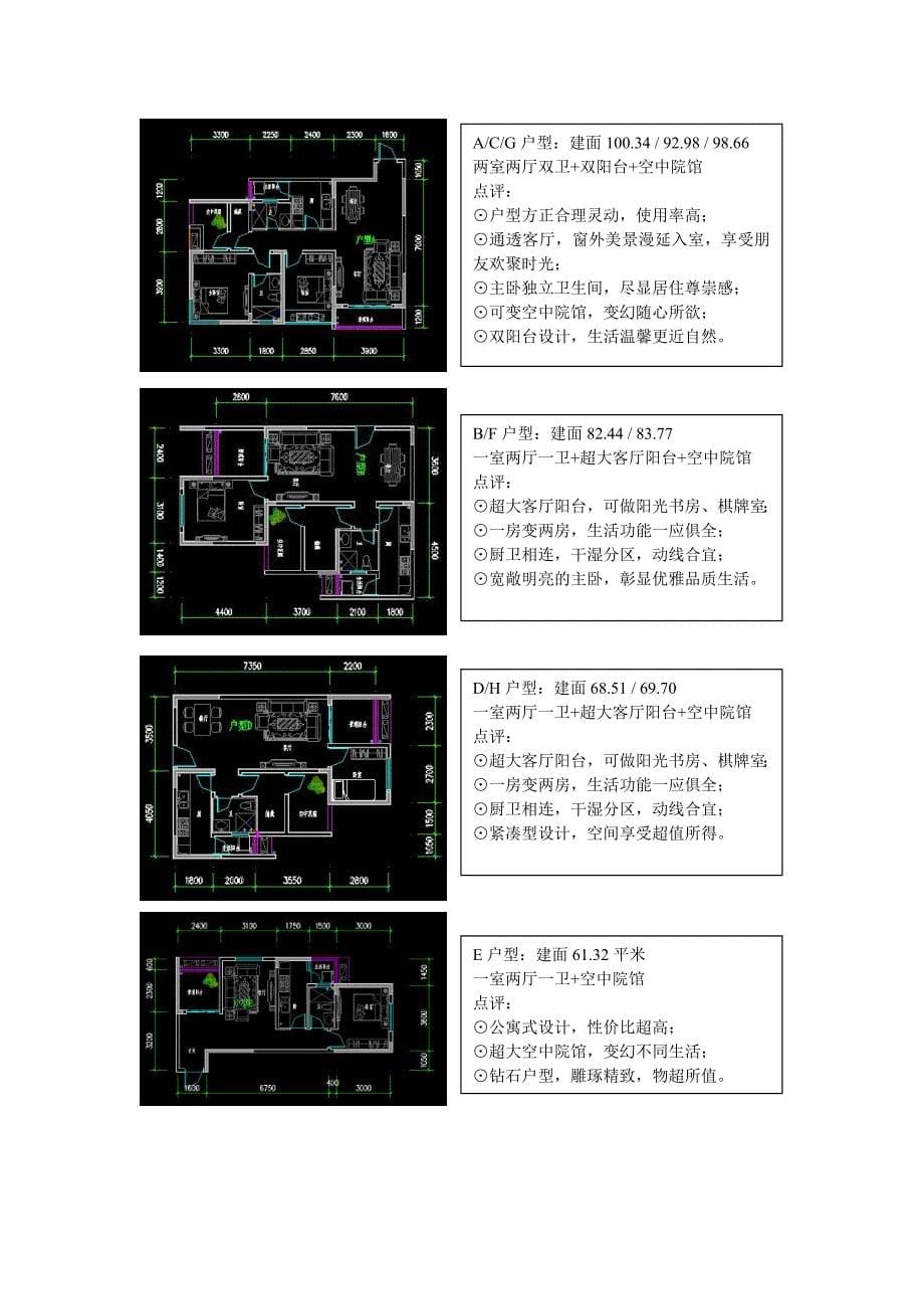 房地产项目营销推广方案_第5页