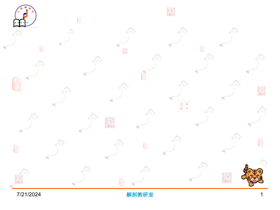 《系统解剖学》教学课件：016－脑神经_第1页