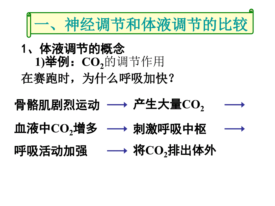 23神经调节与体液调节的关系_第4页