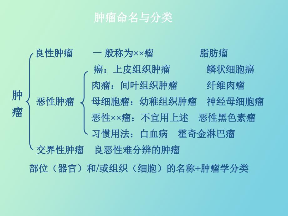 治疗恶性肿瘤药物本科生_第3页