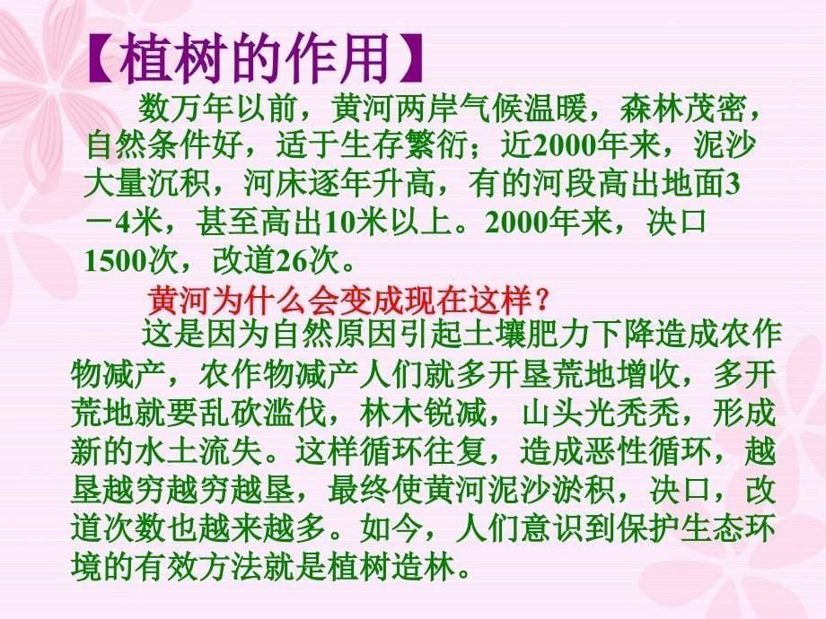 爱绿护绿从我做起PPT课件_第5页