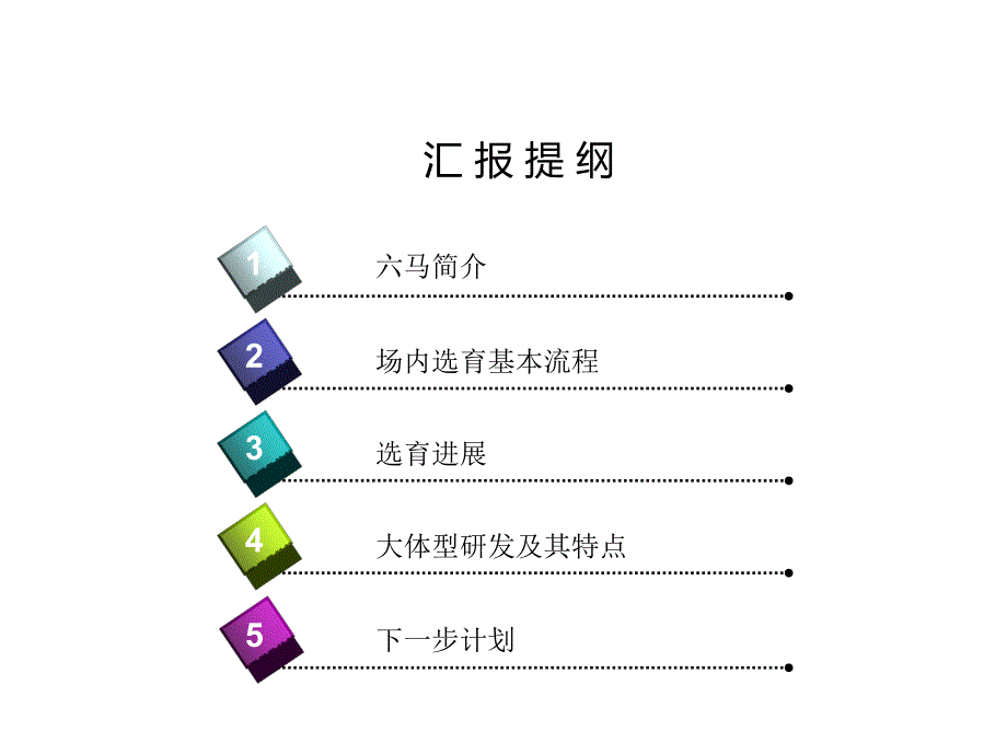 六马“大体型”种猪的选育_第2页