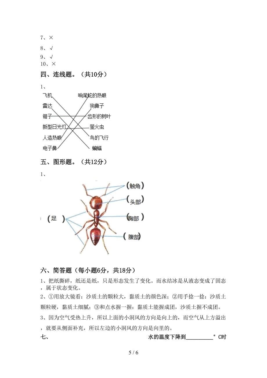 人教版三年级科学上册期中考试卷(A4打印版).doc_第5页