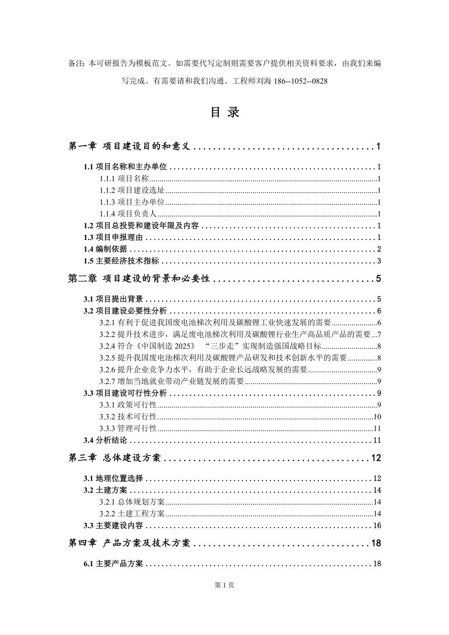 废电池梯次利用及碳酸锂项目建议书写作模板_第2页