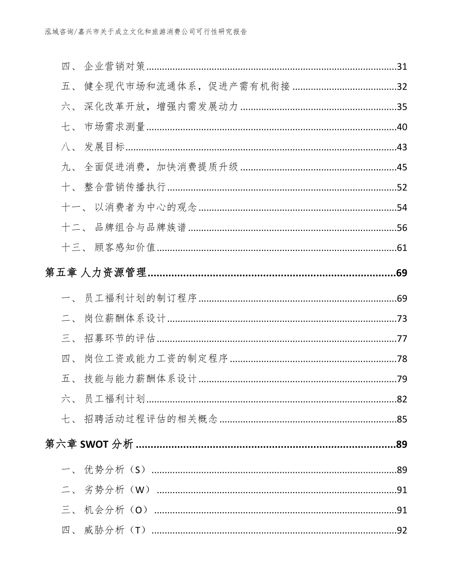 嘉兴市关于成立文化和旅游消费公司可行性研究报告_第3页