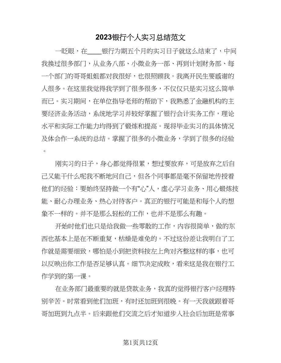 2023银行个人实习总结范文（6篇）_第1页