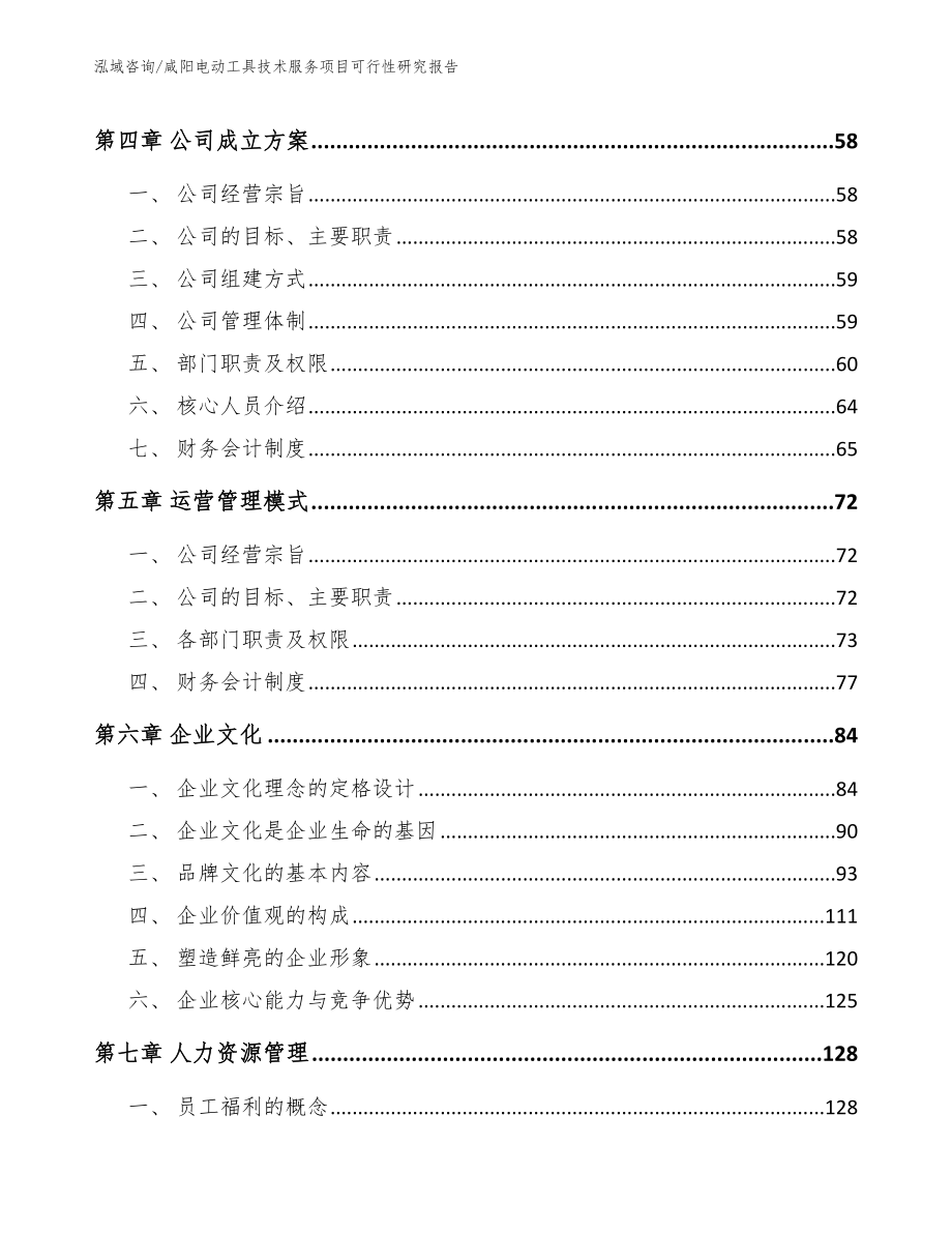 咸阳电动工具技术服务项目可行性研究报告（模板范文）_第2页