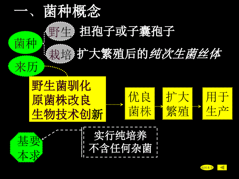 《食用菌菌种生产》PPT课件_第3页