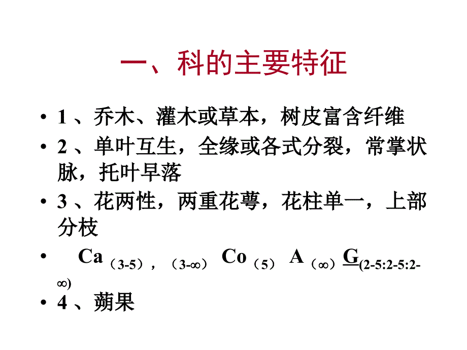 树木学教学课件：132+锦葵科+Malvaceae_第2页