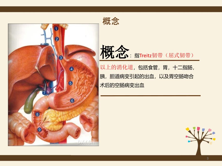 上消化道出血的护理查房PPT参考幻灯片_第3页