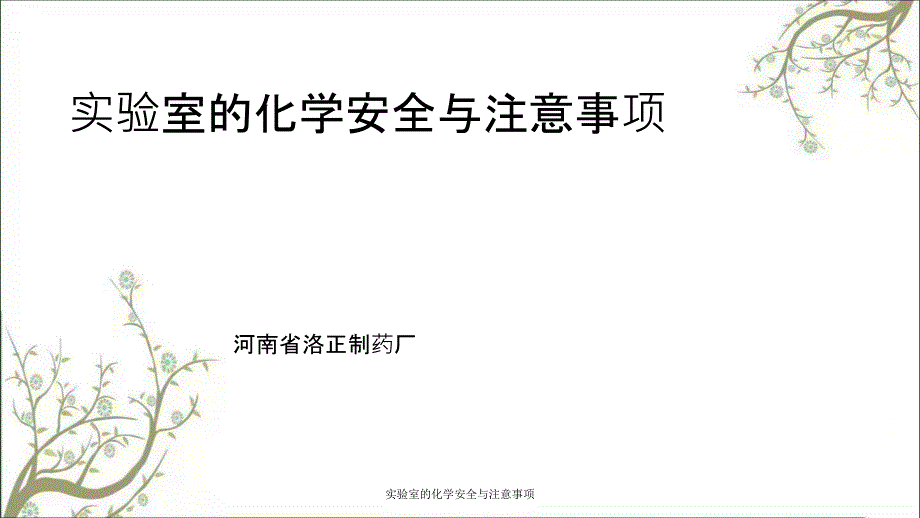 实验室的化学安全与注意事项PPT课件_第1页