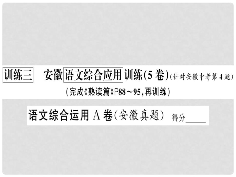 中考语文 训练三 安徽语文综合应用训练复习课件1_第2页