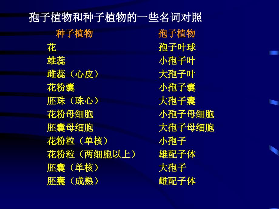 植物学课件：第10章 被子植物(Angiosperm)_第3页