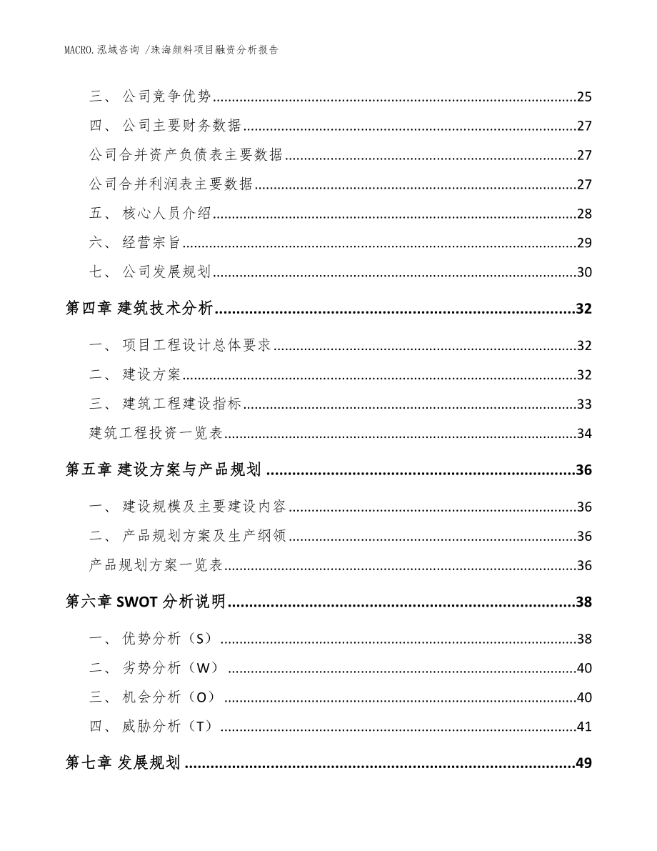 珠海颜料项目融资分析报告_模板_第2页