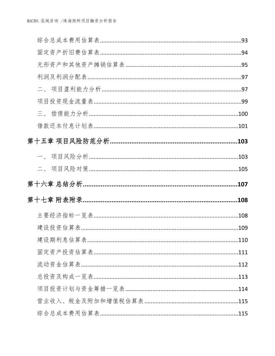 珠海颜料项目融资分析报告_模板_第5页