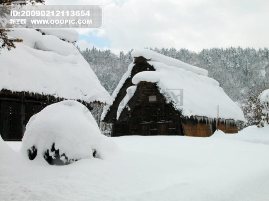 《雪地里的小画家》课件_第4页