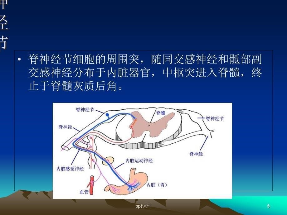 嗜铬细胞瘤-(影像)--课件_第5页