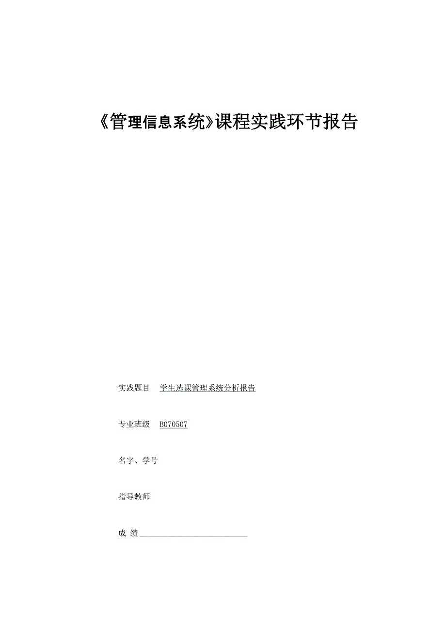 管理信息系统分析报告_第1页