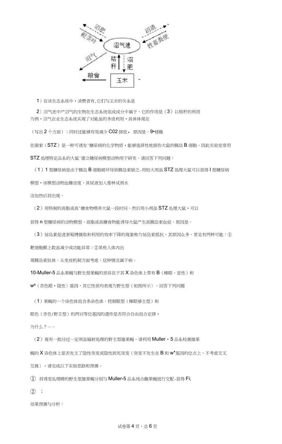 2020届福建省福州市高三质量检测理综生物试题(带答案解析)_第4页