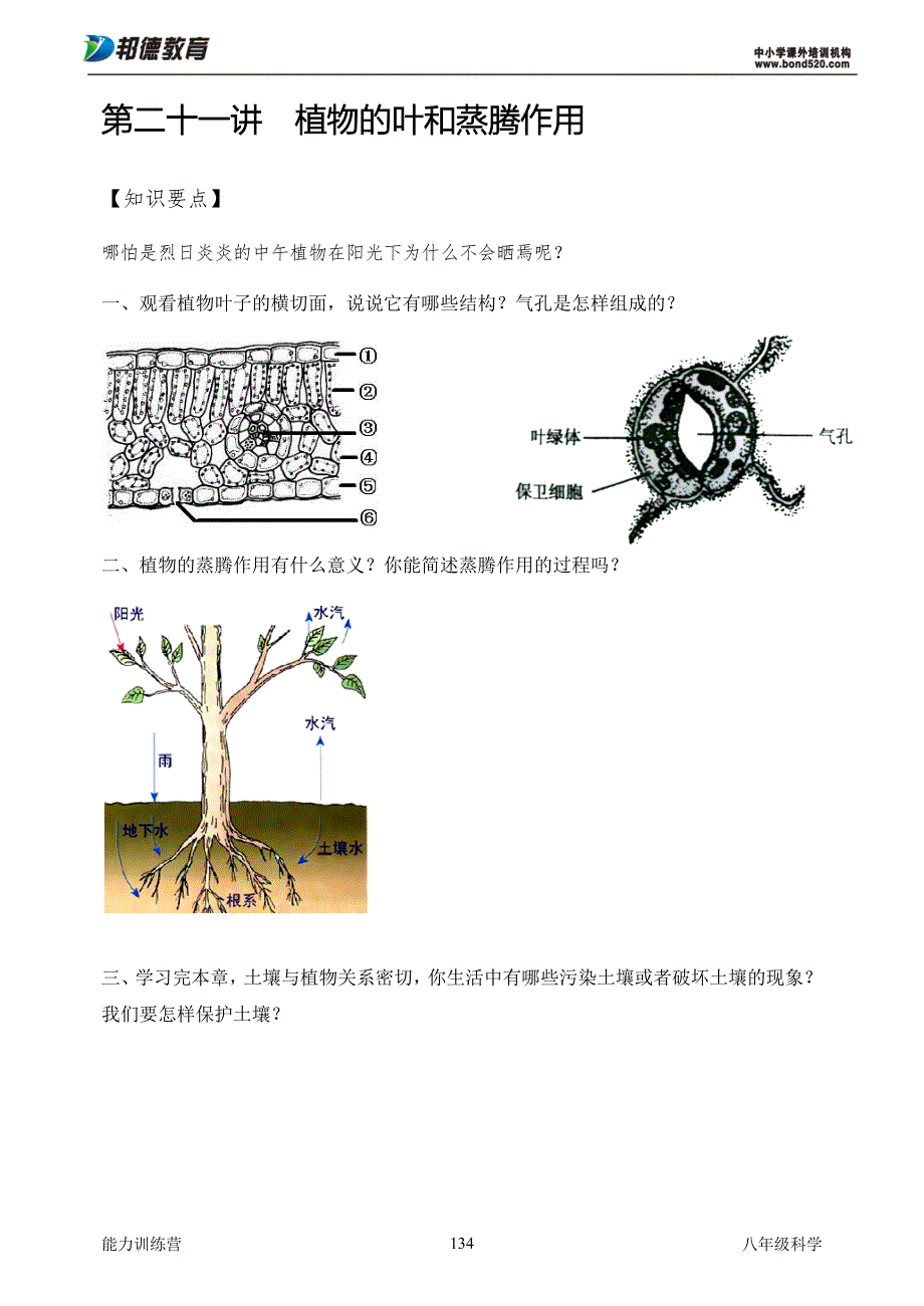 ok第二十一讲 植物的叶和蒸腾作用B.doc_第1页