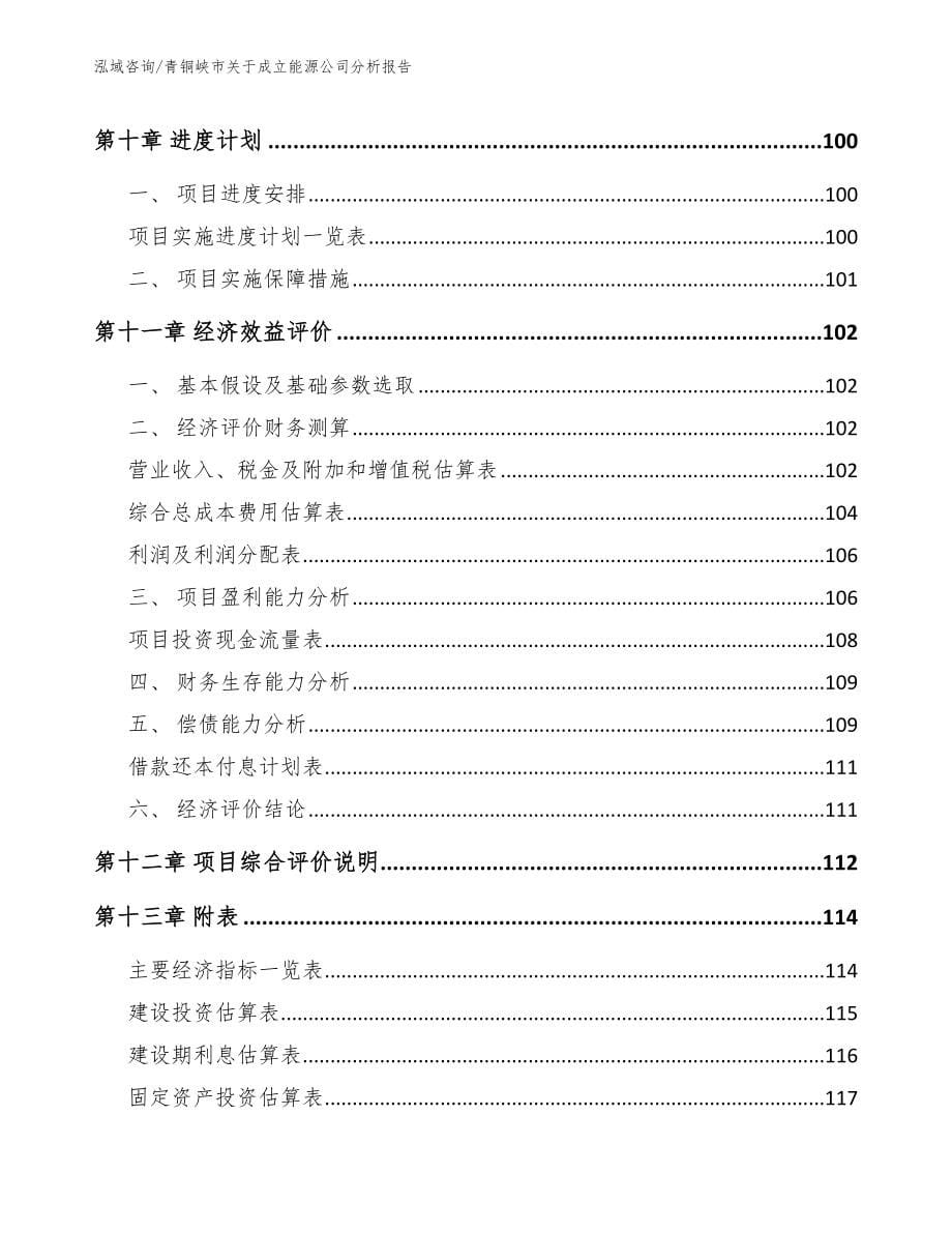 青铜峡市关于成立能源公司分析报告_第5页