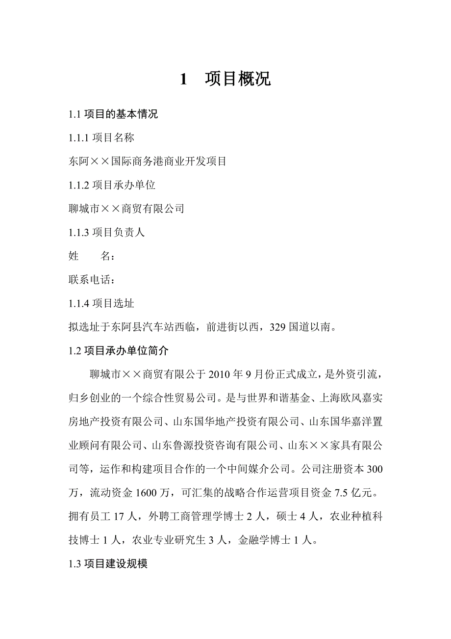 山东省东阿县某商业开发项目规划案_第3页