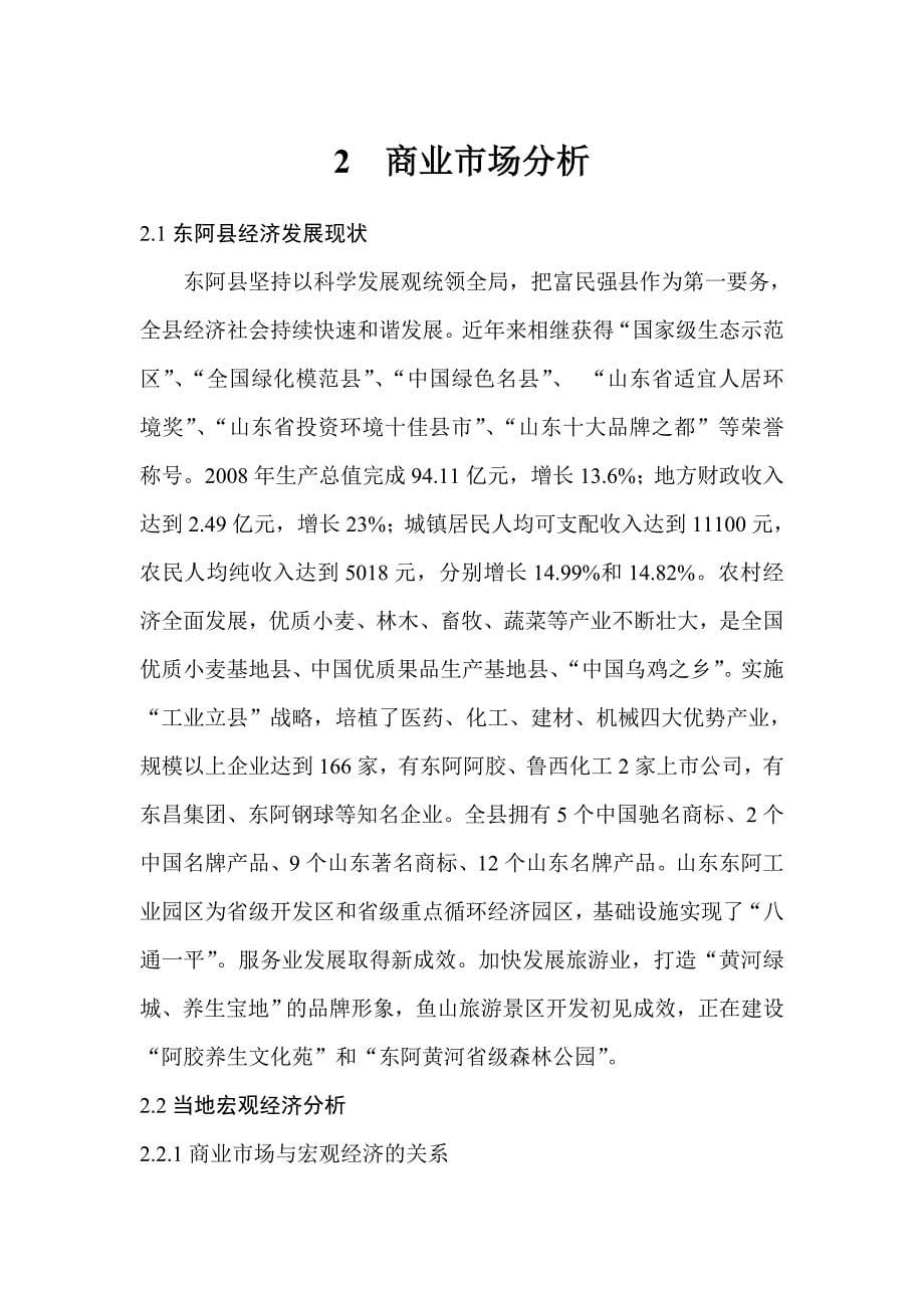 山东省东阿县某商业开发项目规划案_第5页