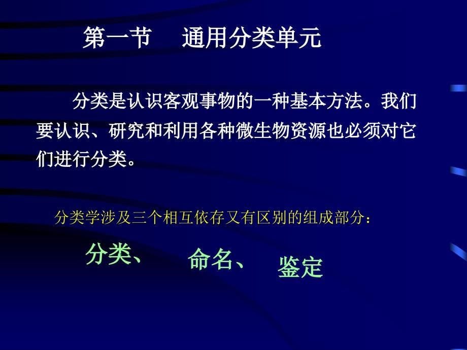 第九章微生物的分类和鉴定_第5页