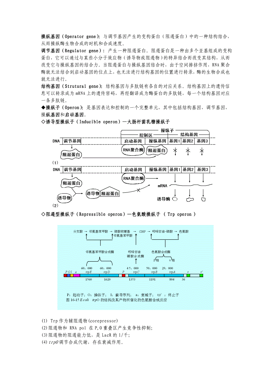 第二章 微生物发酵产酶.doc_第2页