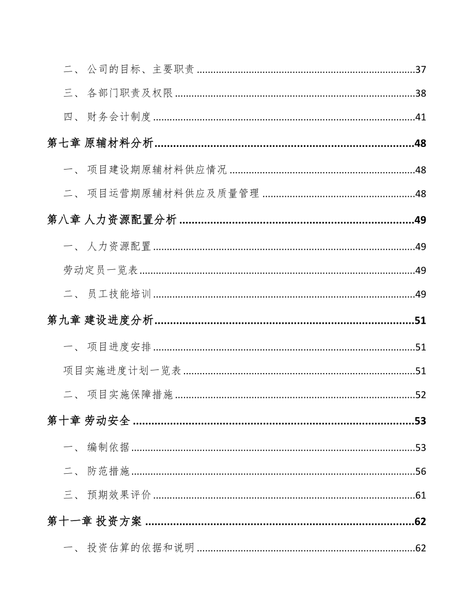 石家庄驱动系统产品项目可行性研究报告_第5页