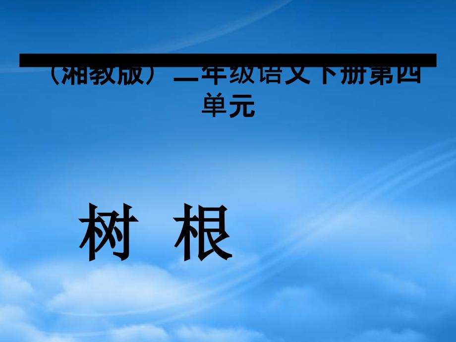 二年级语文下册 树根课件 湘教_第1页