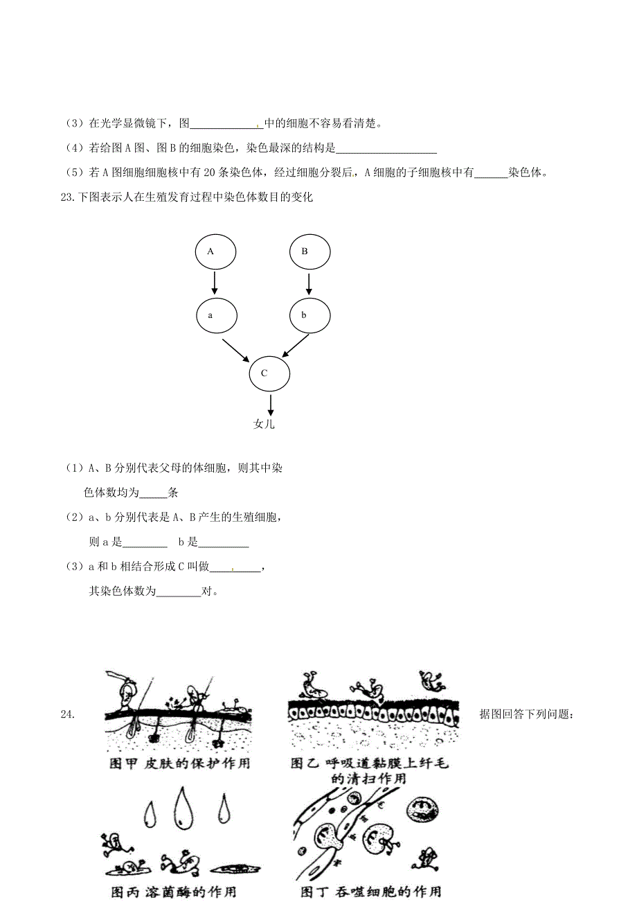 湖北省黄石市第十六中学八年级生物下学期期末试题无答案新人教版_第3页