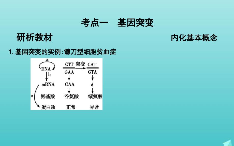 版高考生物总复习第20讲基因突变和基因重组课件新人教版_第3页