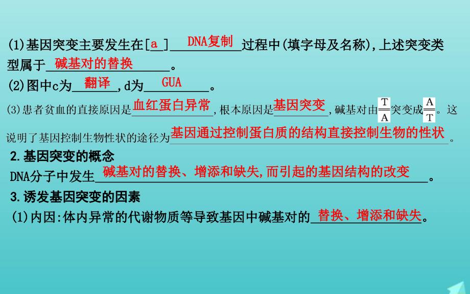 版高考生物总复习第20讲基因突变和基因重组课件新人教版_第4页