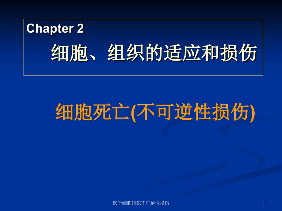 医学细胞组织不可逆性损伤课件_第1页