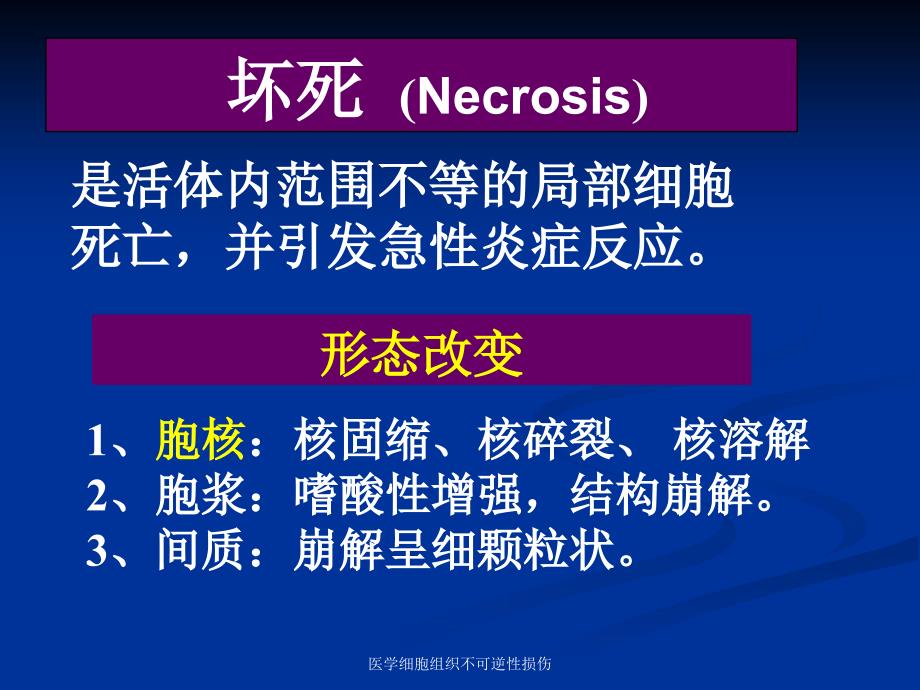 医学细胞组织不可逆性损伤课件_第3页