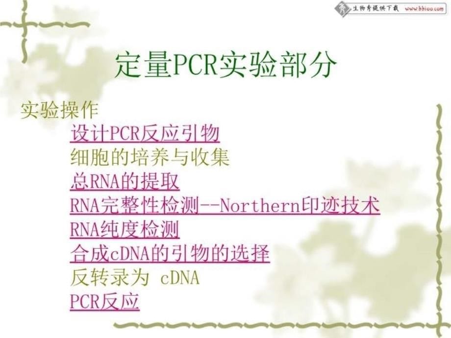 最新定量PCR技术PPT课件_第5页