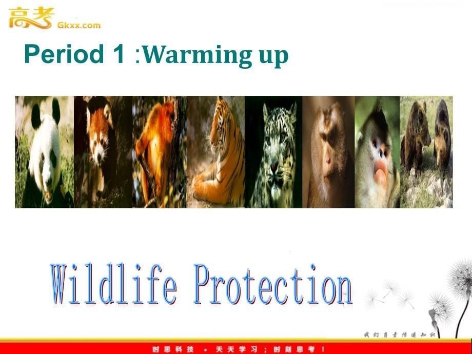 英语人教版必修14.1Unit4《Wildlife Protection》课件_第5页