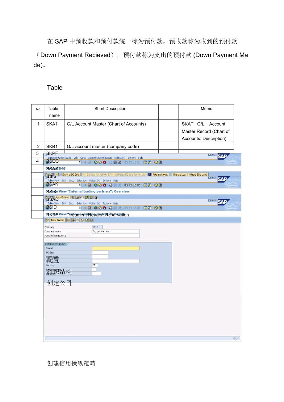 SAPFICO总账配置及其操作手册_第2页