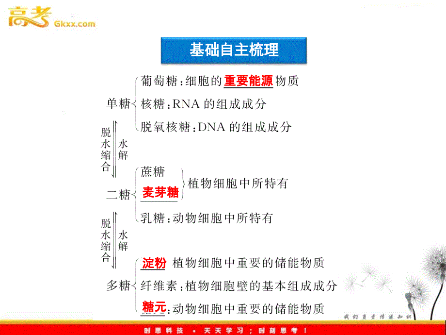 细胞的物质组成结构功能_第2页