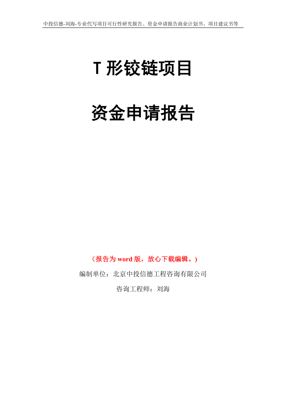 T形铰链项目资金申请报告写作模板代写_第1页